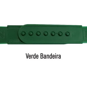 Verde Bandeira